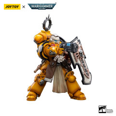 Pmaris Space Marines Imperial Fists Bladeguard Veteran