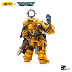 Pmaris Space Marines Imperial Fists Bladeguard Veteran