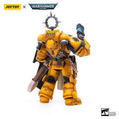 Pmaris Space Marines Imperial Fists Bladeguard Veteran