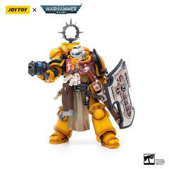 Pmaris Space Marines Imperial Fists Bladeguard Veteran