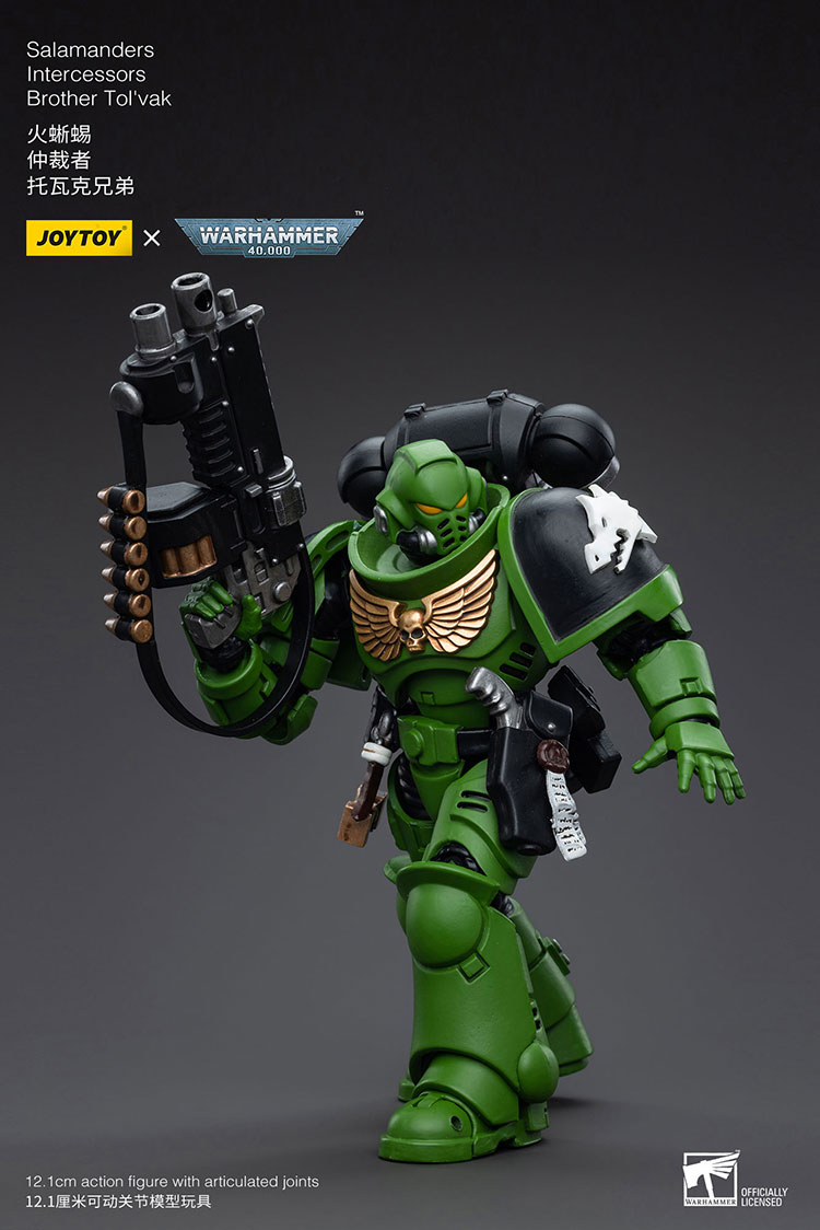 Salamanders Intercessors Sergeant Tsekgan 1/18 Scale | Warhammer 40K 