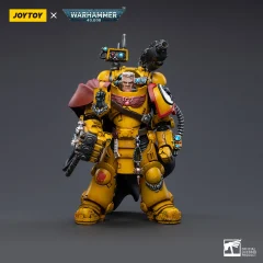 Imperial Fists Third Captain Tor Garadon