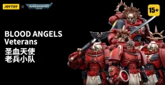 Blood Angels Veteran Alberigo