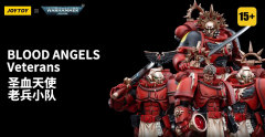 Blood Angels Veteran Alberigo