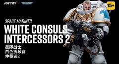Space Marines White Consuls Intercessors 2