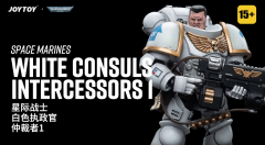Space Marines White Consuls Intercessors 1