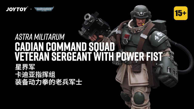 Astra Militarum Cadian Command Squad Veteran with Power Fist