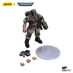 Astra Militarum Cadian Command Squad Veteran with Power Fist