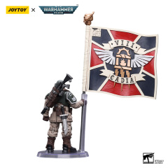 Astra Militarum Cadian Command Squad Veteran with Regimental Standard