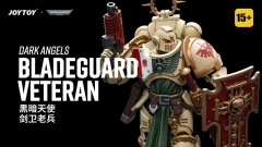 Dark Angels Bladeguard Veteran