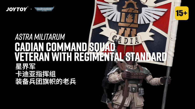 Astra Militarum Cadian Command Squad Veteran with Regimental Standard