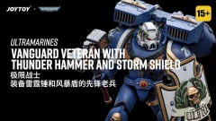 Ultramarines Vanguard Veteran with Thunder Hammer and Storm Shield