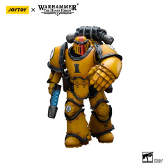 Imperial Fists MkIII Tactical Legionaries