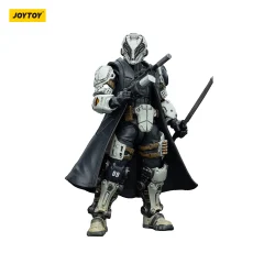 Sorrow Expeditionary Forces 09th Legion assault company-Striker