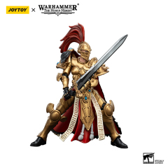 Sisters of Silence White Falcons Vigilator Cadre