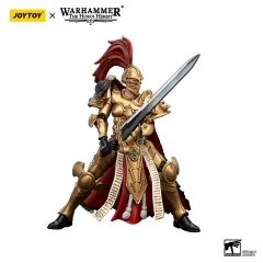 Sisters of Silence White Falcons Vigilator Cadre