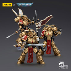 Blood Angels Sanguinary Guard