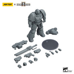 Space Marines Intercessor Armouring Hall Edition