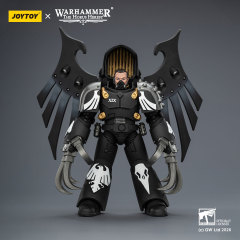Raven Guard Dark Fury, Chooser of the Slain with Raven's Talon claws