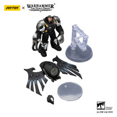 Raven Guard Dark Fury, Chooser of the Slain with Raven's Talon claws