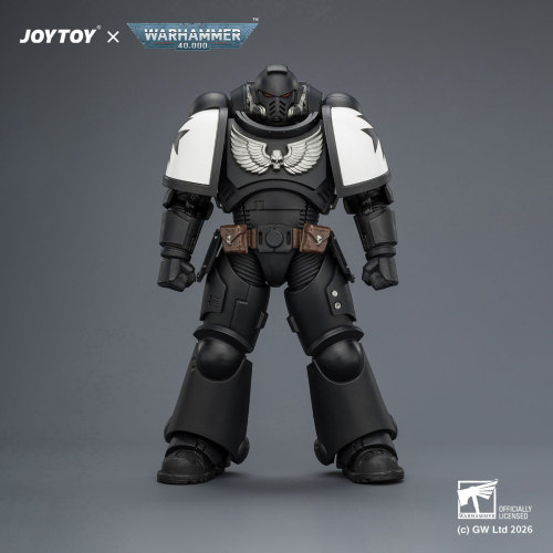 Black Templars Intercessor with Bolt Rifle, Bolt Pistol and Chainsword