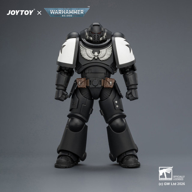Black Templars Intercessor with Bolt Rifle, Bolt Pistol and Chainsword