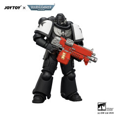 Black Templars Intercessor with Bolt Rifle, Bolt Pistol and Chainsword