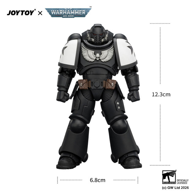 Black Templars Intercessor with Bolt Rifle, Bolt Pistol and Chainsword
