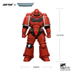 Blood Angels Intercessor with Bolt Rifle, Bolt Pistol and Chainsword