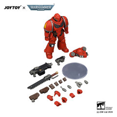 Blood Angels Intercessor with Bolt Rifle, Bolt Pistol and Chainsword