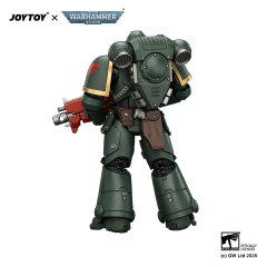 Dark Angels Intercessor with Bolt Rifle, Bolt Pistol and Chainsword