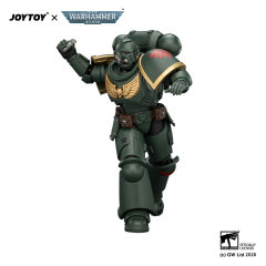 Dark Angels Intercessor with Bolt Rifle, Bolt Pistol and Chainsword