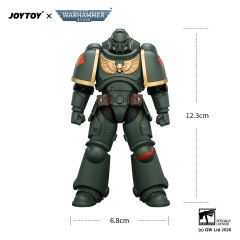 Dark Angels Intercessor with Bolt Rifle, Bolt Pistol and Chainsword