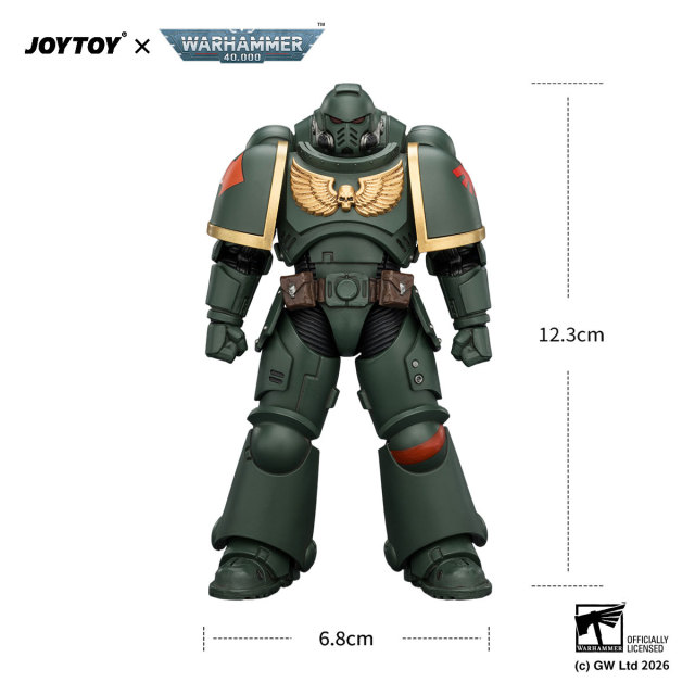 Dark Angels Intercessor with Bolt Rifle, Bolt Pistol and Chainsword