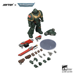 Dark Angels Intercessor with Bolt Rifle, Bolt Pistol and Chainsword