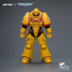 Imperial Fists Intercessor with Bolt Rifle, Bolt Pistol and Chainsword