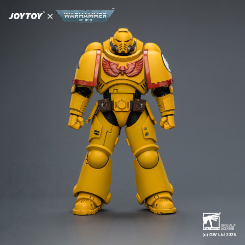 Imperial Fists Intercessor with Bolt Rifle, Bolt Pistol and Chainsword