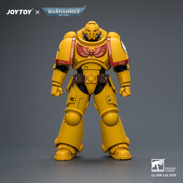 Imperial Fists Intercessor with Bolt Rifle, Bolt Pistol and Chainsword