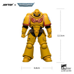 Imperial Fists Intercessor with Bolt Rifle, Bolt Pistol and Chainsword