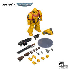 Imperial Fists Intercessor with Bolt Rifle, Bolt Pistol and Chainsword