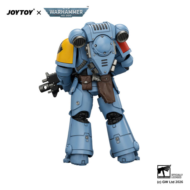 Space Wolves Intercessor with Bolt Rifle, Bolt Pistol and Chainsword