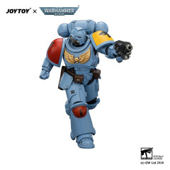 Space Wolves Intercessor with Bolt Rifle, Bolt Pistol and Chainsword