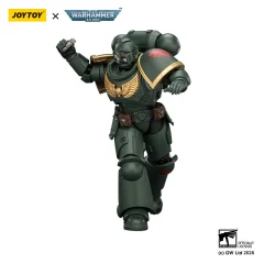 Dark Angels Intercessor with Bolt Rifle, Bolt Pistol and Chainsword