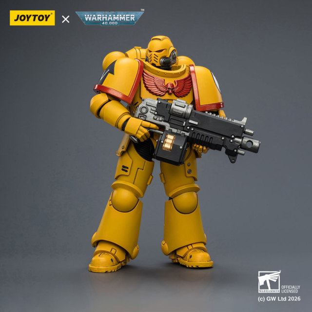 Imperial Fists Intercessor with Bolt Rifle, Bolt Pistol and Chainsword