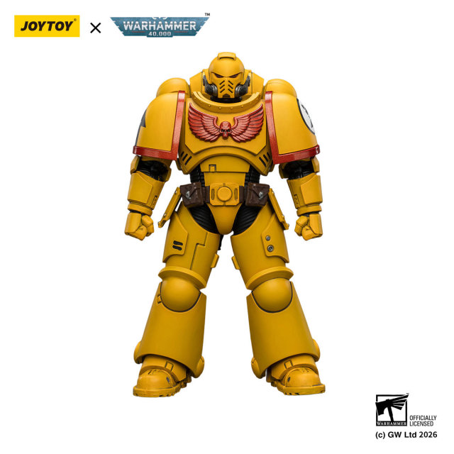 Imperial Fists Intercessor with Bolt Rifle, Bolt Pistol and Chainsword