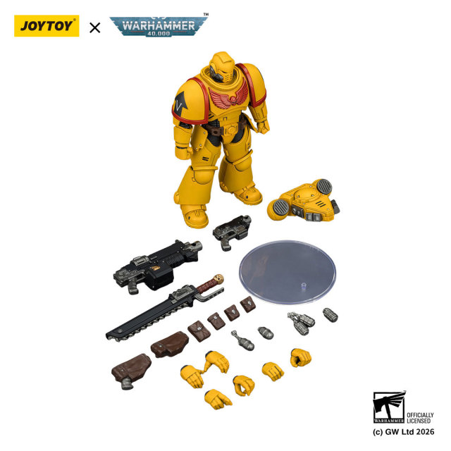 Imperial Fists Intercessor with Bolt Rifle, Bolt Pistol and Chainsword