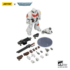 White Scars Intercessor with Bolt Rifle, Bolt Pistol and Chainsword