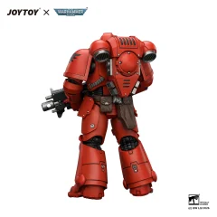 Blood Angels Intercessor with Bolt Rifle, Bolt Pistol and Chainsword
