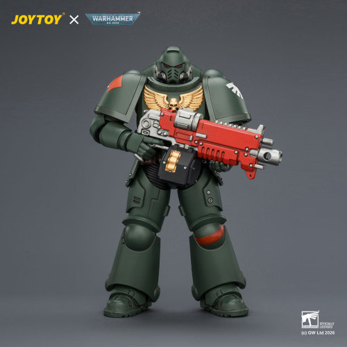 Dark Angels Intercessor with Bolt Rifle, Bolt Pistol and Chainsword