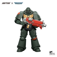Dark Angels Intercessor with Bolt Rifle, Bolt Pistol and Chainsword